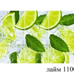 БОСТОН - 3 Стол раздвижной 1100/1420 опоры Триумф в Нижнем Тагиле - nizhniy-tagil.mebel24.online | фото 22
