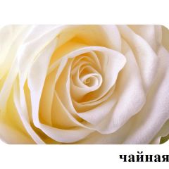 БОСТОН - 3 Стол раздвижной 1100/1420 опоры Триумф в Нижнем Тагиле - nizhniy-tagil.mebel24.online | фото 47