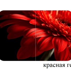 БОСТОН - 3 Стол раздвижной 1100/1420 опоры Триумф в Нижнем Тагиле - nizhniy-tagil.mebel24.online | фото 18