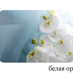 БОСТОН - 3 Стол раздвижной 1100/1420 опоры Триумф в Нижнем Тагиле - nizhniy-tagil.mebel24.online | фото 8
