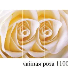 БОСТОН - 3 Стол раздвижной 1100/1420 опоры Триумф в Нижнем Тагиле - nizhniy-tagil.mebel24.online | фото 48