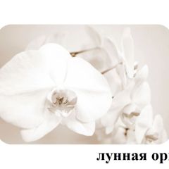 БОСТОН - 3 Стол раздвижной Лунная орхидея 1100/1420 опоры Триумф в Нижнем Тагиле - nizhniy-tagil.mebel24.online | фото 2