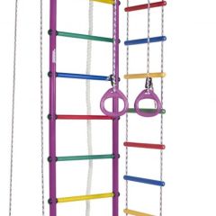 ДСК Атлант цв.фиолетовый радуга: турник, кольца, канат, трапеция, веревочная лестница в Нижнем Тагиле - nizhniy-tagil.mebel24.online | фото