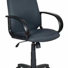 Кресло руководителя Бюрократ CH-808AXSN/TW-12 серый в Нижнем Тагиле - nizhniy-tagil.mebel24.online | фото