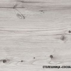 Кухонный гарнитур Сиена мини 1000 мм в Нижнем Тагиле - nizhniy-tagil.mebel24.online | фото 8