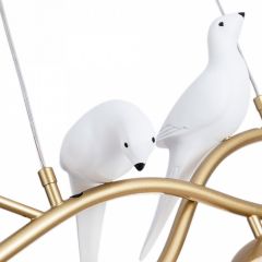 Подвесной светильник Arte Lamp Eltanin A3422SP-4GO в Нижнем Тагиле - nizhniy-tagil.mebel24.online | фото 4