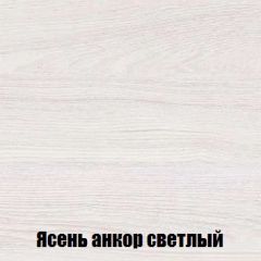Шкаф 2-х створчатый МСП-1 (Ясень Анкор светлый) в Нижнем Тагиле - nizhniy-tagil.mebel24.online | фото 4