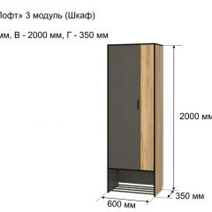 ОЛЬГА-ЛОФТ 3 Шкаф 2-х створчатый в Нижнем Тагиле - nizhniy-tagil.mebel24.online | фото 4