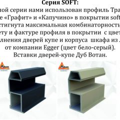 Шкаф-купе 1400 серии SOFT D6+D6+B2+PL3 (2 ящика+2штанги) профиль «Капучино» в Нижнем Тагиле - nizhniy-tagil.mebel24.online | фото 12