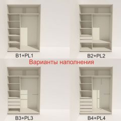 Шкаф-купе 1400 серии SOFT D6+D6+B2+PL3 (2 ящика+2штанги) профиль «Капучино» в Нижнем Тагиле - nizhniy-tagil.mebel24.online | фото 6