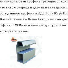 Шкаф-купе 1500 серии SILVER S1+S1+B2+PL2 (2 ящика+1 штанга+1 полка) профиль «Серебро» в Нижнем Тагиле - nizhniy-tagil.mebel24.online | фото 4