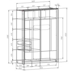 Шкаф-купе 1600 с плитой 22 мм ЛИБЕРТИ в Нижнем Тагиле - nizhniy-tagil.mebel24.online | фото 4