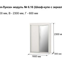 Шкаф-купе 1600 с зеркалом "Мария-Луиза 6.16" в Нижнем Тагиле - nizhniy-tagil.mebel24.online | фото 4