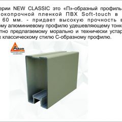 Шкаф-купе 1700 серии NEW CLASSIC K2+K2+B2+PL2(2 ящика+1 штанга+1 полка) профиль «Капучино» в Нижнем Тагиле - nizhniy-tagil.mebel24.online | фото 17