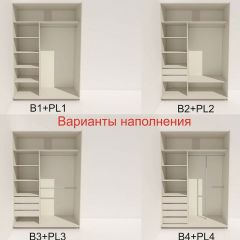 Шкаф-купе 1800 серии SOFT D6+D4+B2+PL2 (2 ящика+1штанга+1 полка) профиль «Капучино» в Нижнем Тагиле - nizhniy-tagil.mebel24.online | фото 7