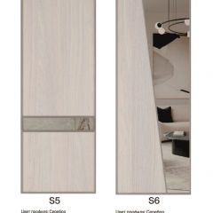 Шкаф-купе 1950 серии SILVER S3+S1+S4 B22+PL3 (по 2 ящика лев/прав+2 штанги) профиль «Серебро» в Нижнем Тагиле - nizhniy-tagil.mebel24.online | фото 14