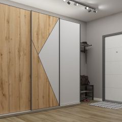 Шкаф-купе 2100 серии SOFT D2+D7+D3+B22+PL2 (по 2 ящика лев/прав+1штанга+1полка) профиль «Графит» в Нижнем Тагиле - nizhniy-tagil.mebel24.online | фото