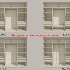 Шкаф-купе 2400 серии SOFT D5+D5+D5+B22+PL4 (по 2 ящика лев/прав+2штанги) профиль «Графит» в Нижнем Тагиле - nizhniy-tagil.mebel24.online | фото 4