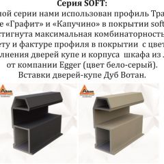 Шкаф-купе 2400 серии SOFT D5+D5+D5+B22+PL4 (по 2 ящика лев/прав+2штанги) профиль «Графит» в Нижнем Тагиле - nizhniy-tagil.mebel24.online | фото 11