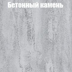 Шкаф-купе Бассо 1.0 (Дуб Крафт серый/Бетонный камень) 2 двери ЛДСП 1 зеркальная вставка в Нижнем Тагиле - nizhniy-tagil.mebel24.online | фото 3