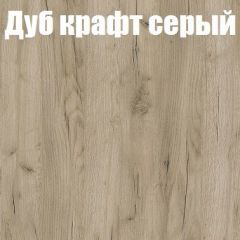 Шкаф-купе Бассо 1.0 (Дуб Крафт серый/Бетонный камень) 2 двери ЛДСП 1 зеркальная вставка в Нижнем Тагиле - nizhniy-tagil.mebel24.online | фото 4