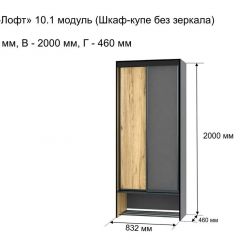 ОЛЬГА-ЛОФТ 10.1 Шкаф-купе без зеркала в Нижнем Тагиле - nizhniy-tagil.mebel24.online | фото 3