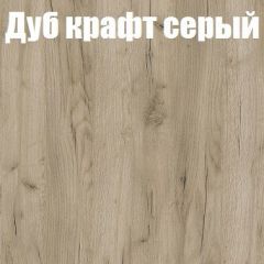 Шкаф-купе Эдем 1.5 (Дуб Крафт серый/Бетонный камень) двери ЛДСП вставка зеркало в Нижнем Тагиле - nizhniy-tagil.mebel24.online | фото 4