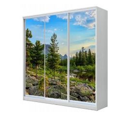 Шкаф-купе ХИТ 22-20/2-777 (620) в Нижнем Тагиле - nizhniy-tagil.mebel24.online | фото