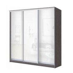 Шкаф-купе ХИТ 23-20-888 (620) в Нижнем Тагиле - nizhniy-tagil.mebel24.online | фото 1