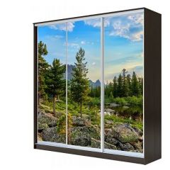 Шкаф-купе ХИТ 23-4-18-777 (420) в Нижнем Тагиле - nizhniy-tagil.mebel24.online | фото 1