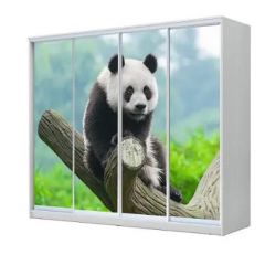 Шкаф-купе ХИТ 23-4-24/2-7777 (420) в Нижнем Тагиле - nizhniy-tagil.mebel24.online | фото