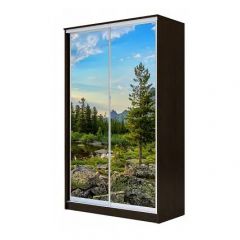 Шкаф-купе ХИТ 24-4-14-77 (420) в Нижнем Тагиле - nizhniy-tagil.mebel24.online | фото 1