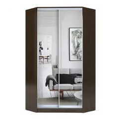 Шкаф-купе ХИТ-У-23-4-55 в Нижнем Тагиле - nizhniy-tagil.mebel24.online | фото 1