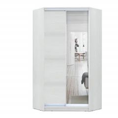 Шкаф-купе ХИТ-У-24-4-15 в Нижнем Тагиле - nizhniy-tagil.mebel24.online | фото