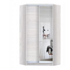 Шкаф-купе ХИТ-У-24-4-15 в Нижнем Тагиле - nizhniy-tagil.mebel24.online | фото 5