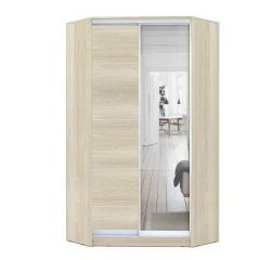 Шкаф-купе ХИТ-У-24-4-15 в Нижнем Тагиле - nizhniy-tagil.mebel24.online | фото 8
