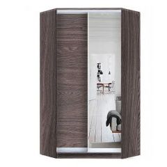 Шкаф-купе ХИТ-У-24-4-15 в Нижнем Тагиле - nizhniy-tagil.mebel24.online | фото 11
