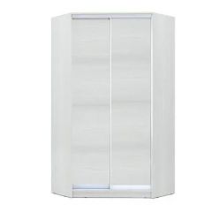 Шкаф-купе ХИТ-У-R-22-64-11 в Нижнем Тагиле - nizhniy-tagil.mebel24.online | фото 2
