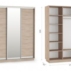 Шкаф-купе Тетрис 210/220 (ДЗД) Дуб сонома в Нижнем Тагиле - nizhniy-tagil.mebel24.online | фото