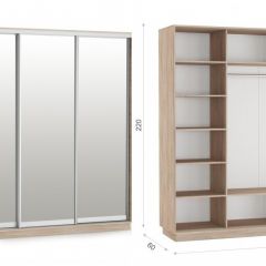 Шкаф-купе Тетрис 210/220 (ЗЗЗ) Дуб сонома в Нижнем Тагиле - nizhniy-tagil.mebel24.online | фото