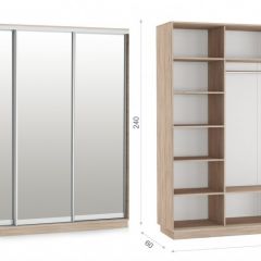 Шкаф-купе Тетрис 210/240 (ЗЗЗ) Дуб сонома в Нижнем Тагиле - nizhniy-tagil.mebel24.online | фото