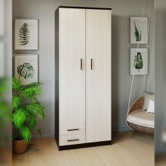 Шкаф распашной ПШ-3.9 в Нижнем Тагиле - nizhniy-tagil.mebel24.online | фото 3