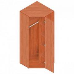 Шкаф для одежды "Референт" Р.Ш-10 в Нижнем Тагиле - nizhniy-tagil.mebel24.online | фото