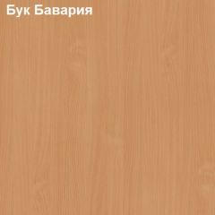 Стол компьютерный с нишей Логика Л-2.11 в Нижнем Тагиле - nizhniy-tagil.mebel24.online | фото