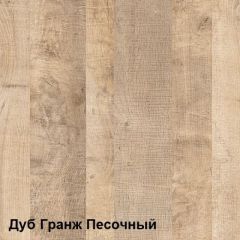 Трувор Шкаф 13.204.01 в Нижнем Тагиле - nizhniy-tagil.mebel24.online | фото 4