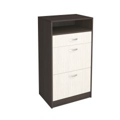 Обувница Вега ОБ-3 в Нижнем Тагиле - nizhniy-tagil.mebel24.online | фото
