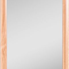 Зеркало МДФ профиль 1200х600 Бук Домино (DM9002Z) в Нижнем Тагиле - nizhniy-tagil.mebel24.online | фото 1