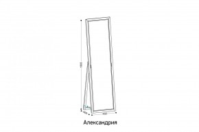 АЛЕКСАНДРИЯ-9.1 Зеркало напольное в Нижнем Тагиле - nizhniy-tagil.mebel24.online | фото 2