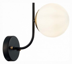 Бра EVOLUCE Ciane SLE1098-401-01 в Нижнем Тагиле - nizhniy-tagil.mebel24.online | фото 3