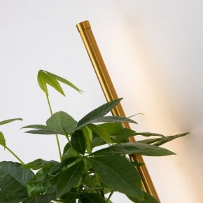 Бра Favourite Greenery 4050-1W в Нижнем Тагиле - nizhniy-tagil.mebel24.online | фото 10